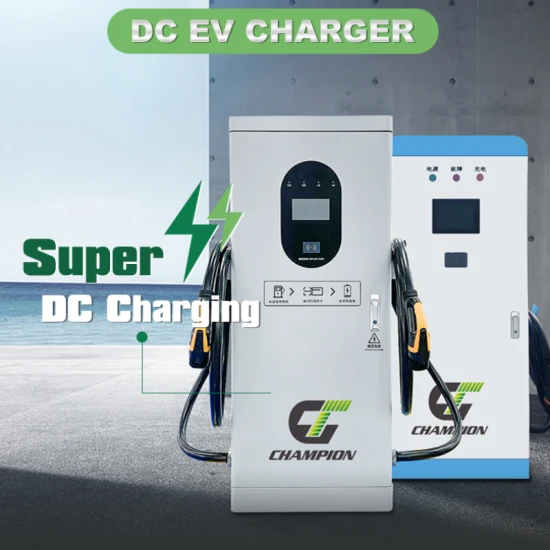 새로운 에너지 전기 자동차 7kw 15kw 20kw 30kw 40kw CCS2 휴대용 이동식 고속 DC EV 충전기 Evse 충전 스테이션