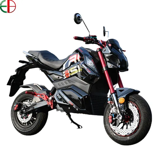 2022 EEC 리튬 배터리 슈퍼 파워 2